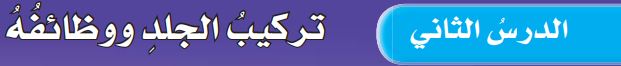لدرس الثاني تركيب الجلد ووظائفه